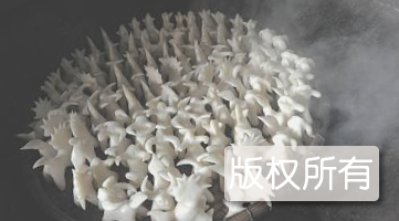 忻城县壮乡奇风异俗