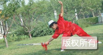 沧州通臂拳