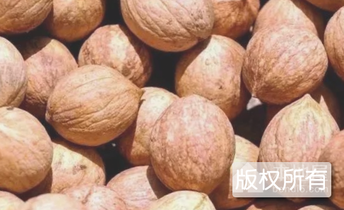 金寨山核桃