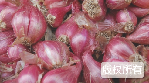 红皮大蒜