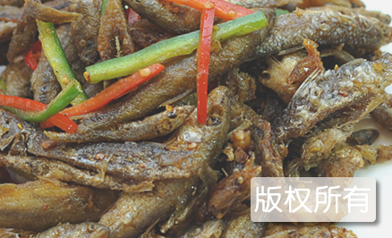山坑鱼仔