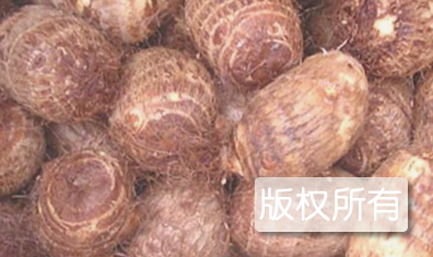 建昌红香芋