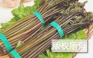 抚顺蕨菜