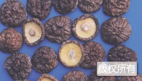 庆元香菇