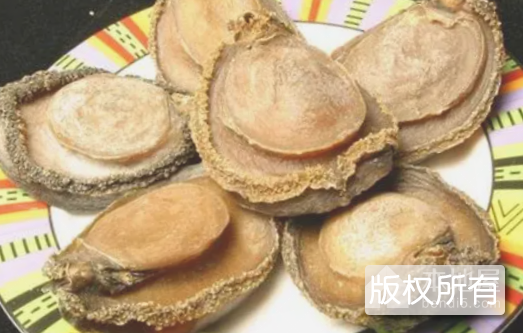 广东鲍鱼