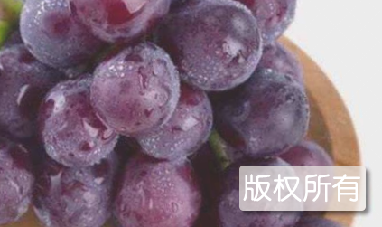 温克葡萄