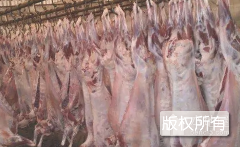 察哈尔羊肉