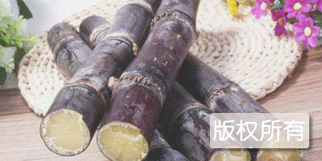 江州甘蔗