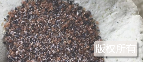 软萩粑