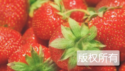 合江草莓