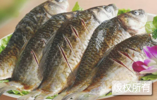 淇河鲫鱼
