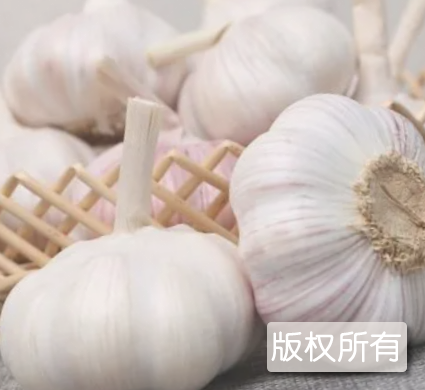 玉林蒜头