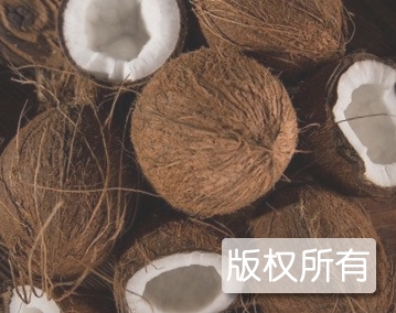礼亭椰子