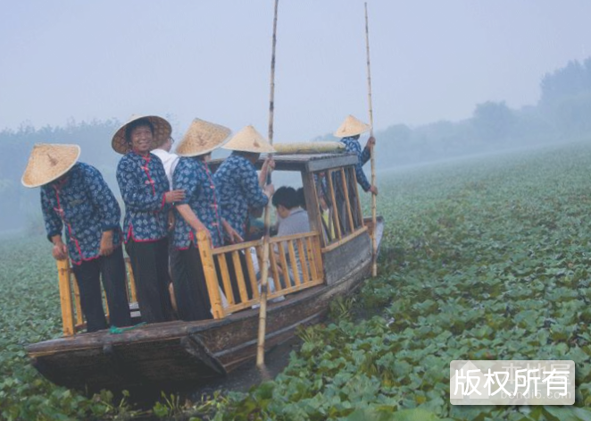 南湖采菱歌