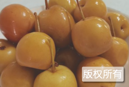 那坡糖梨