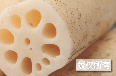 贵港莲藕