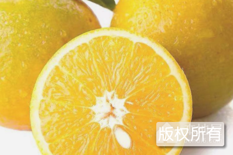 泄滩夏橙