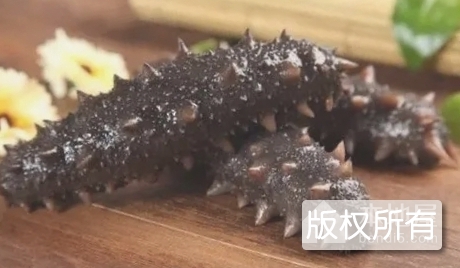荣成海参