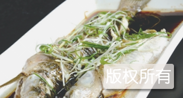 新河鲻鱼