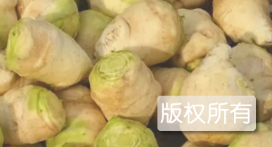 根河卜留克