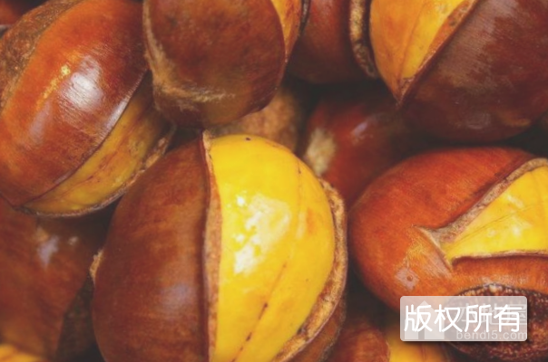 承德板栗