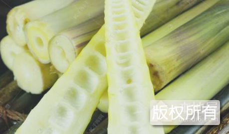 东水竹笋