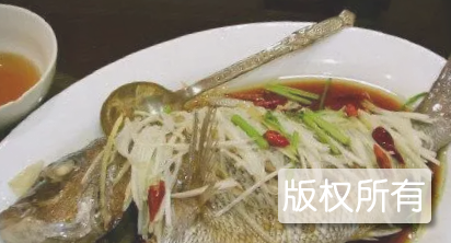海州加吉鱼
