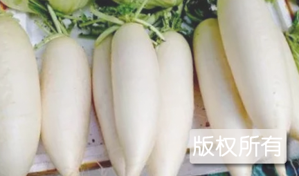 菊花心萝卜