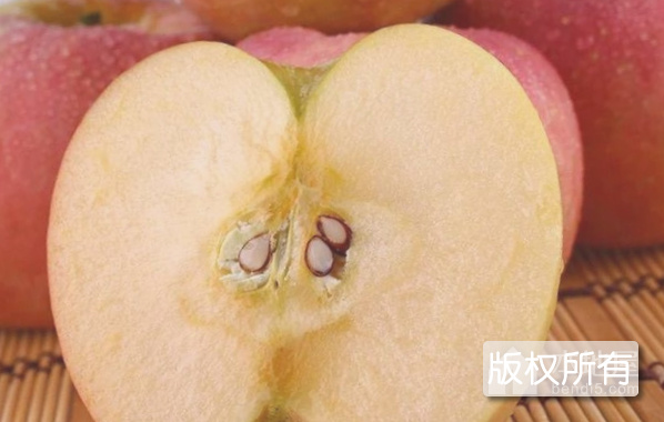 丰县红富士苹果