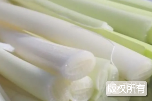 淮城蒲菜