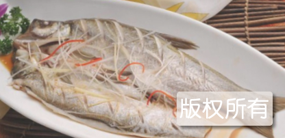 蛋白翘嘴鱼