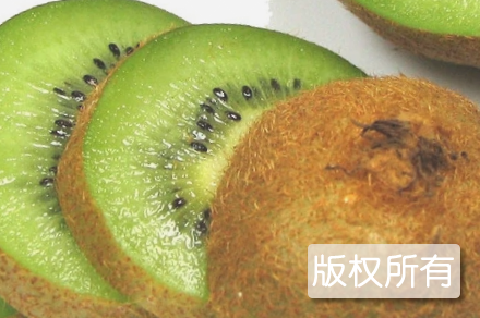 建始猕猴桃
