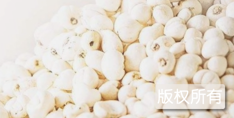 城口太白贝母