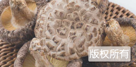 广安花菇