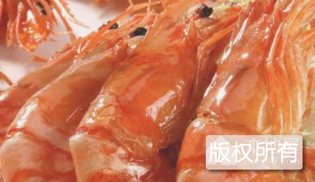 万山玉对虾