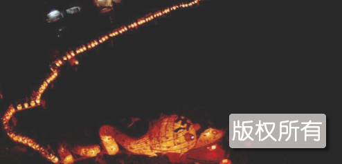 大沽龙灯