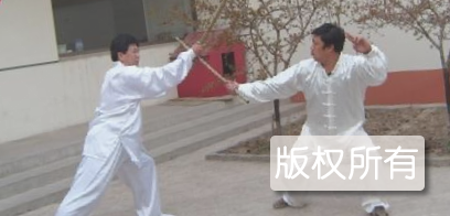 贾氏青萍剑