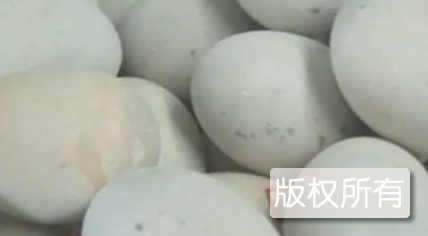 春燕皮蛋