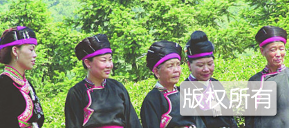 岭炳洋畲歌