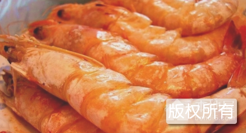 博兴对虾