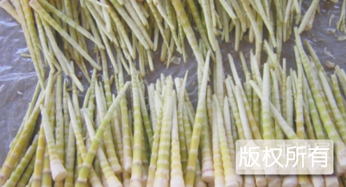 永祥竹笋