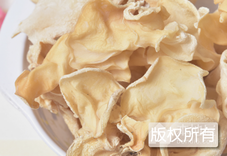 菇竹迎春