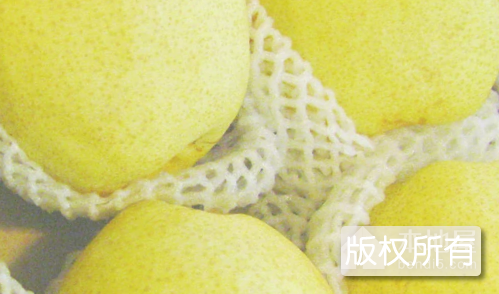 沙河贡梨