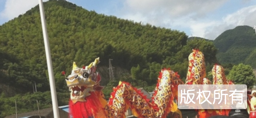 邹溪稻花会