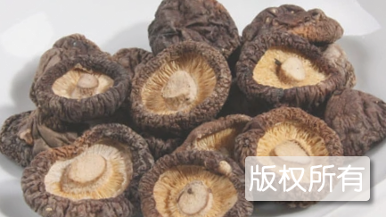 舞阳香菇