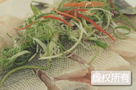 浦北石斑鱼