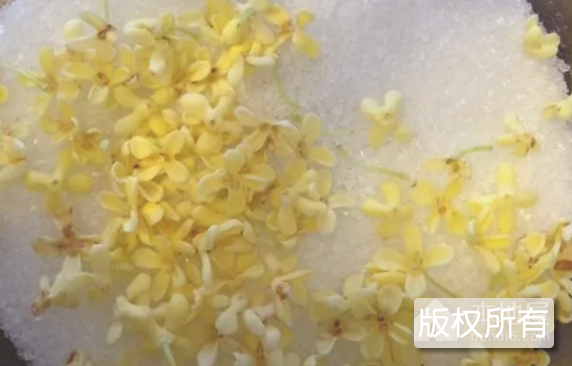 桂香糖