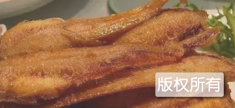 鱼匹子