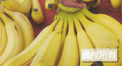 茂生围香蕉