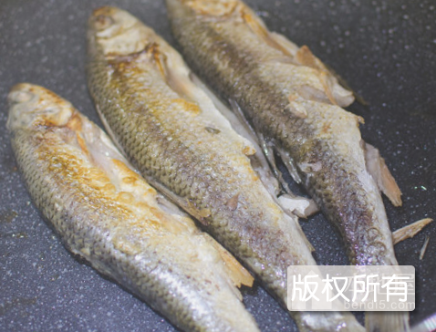岱海鱼